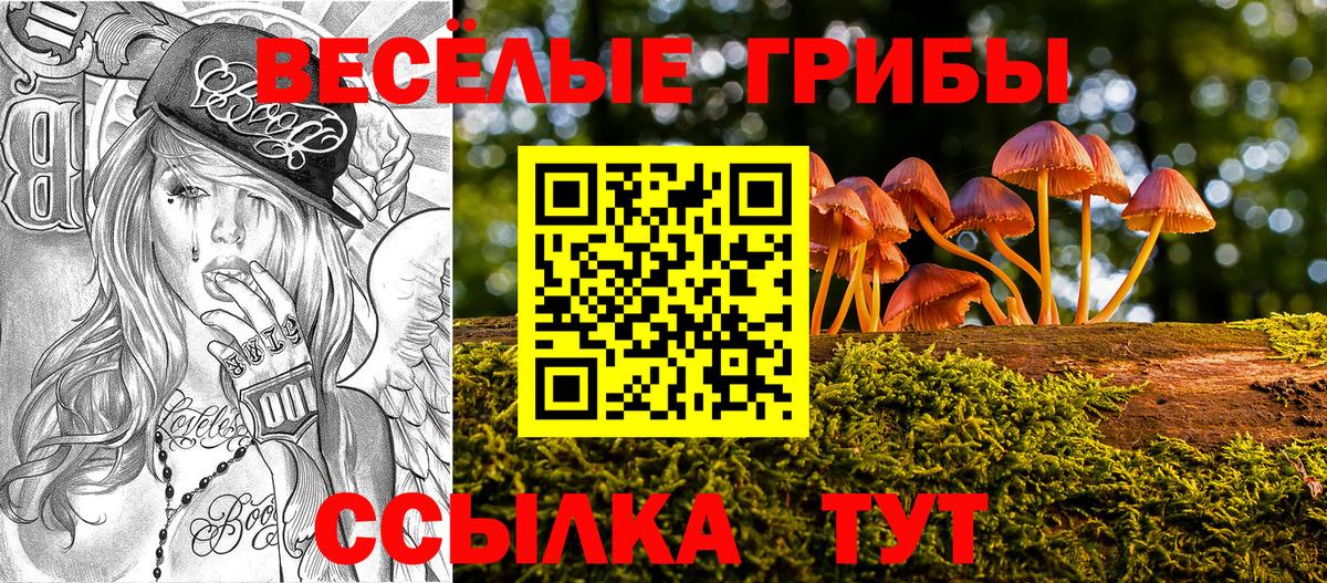 Губкинский  Псилоцибиновые грибы Magic Shrooms  Вход с VPN 
